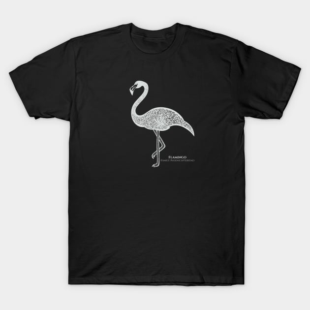 Flamingo with Common and Scientific Names - design for flamingo lovers T-Shirt by Green Paladin